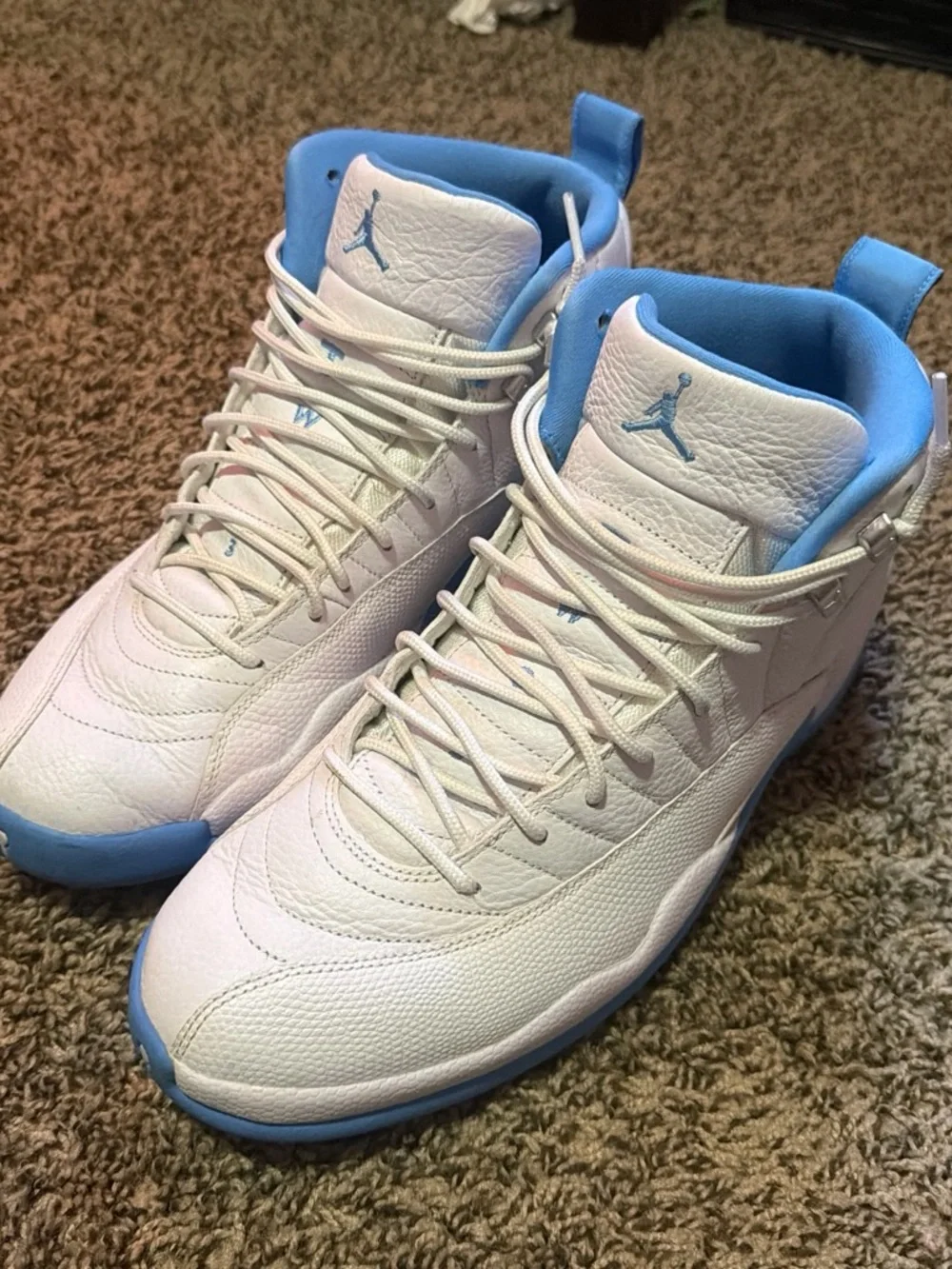 jordan 12 retro “melos”